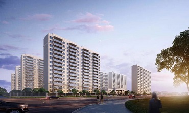 陽(yáng)光春曉：歸家之旅，生活的詩(shī)意新篇